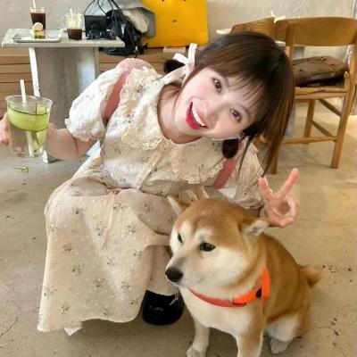 美丽的声音